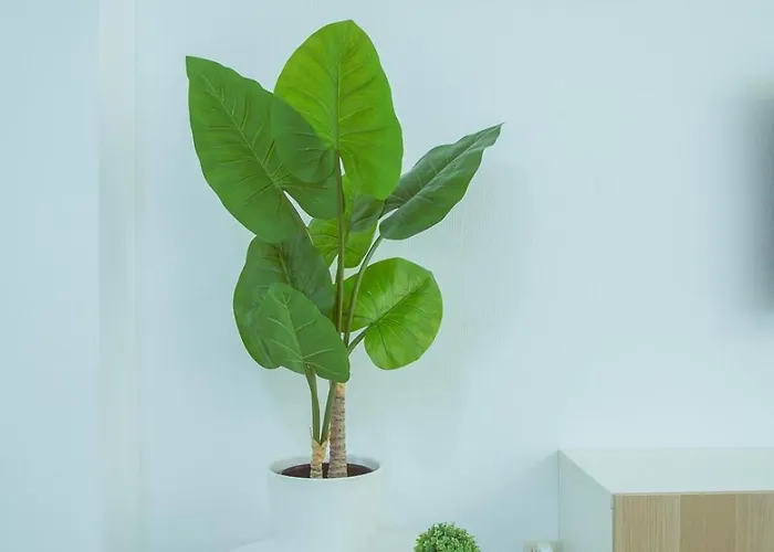 アパート Sol & Mar フエンヒロラ